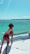 cassie.aguiar Altpins Profile Picture