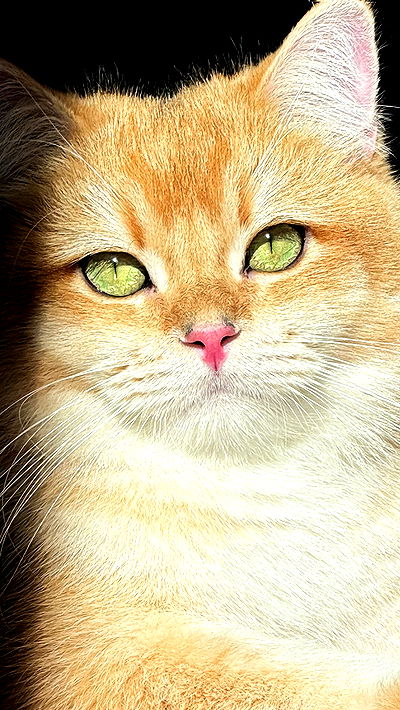 itsilanosh itsilanosh archive video