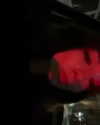 darkiexgirl Altpins Profile Picture