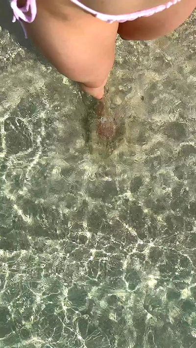 carolinezalog carolinezalog archive video