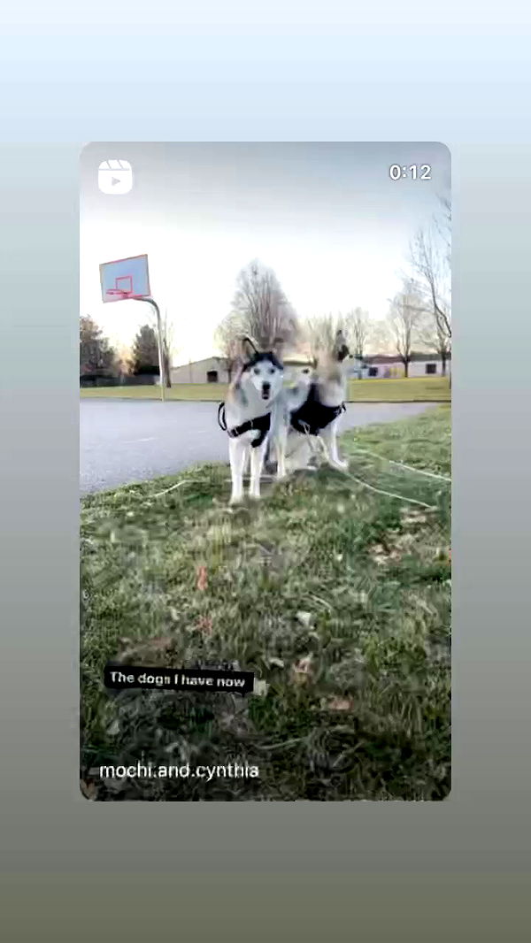 _animechika_ archive video preview