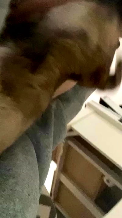 dustheadd dustheadd archive video