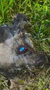 sacred.soul.creations Altpins Profile Picture