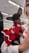 jenny.kaly Altpins Profile Picture
