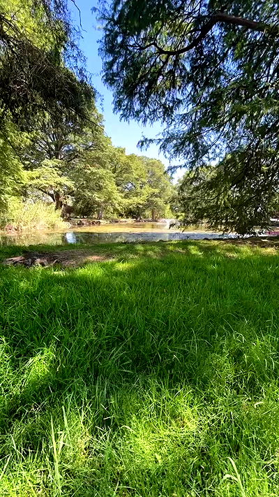 tatum.ricee tatum.ricee archive video