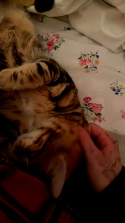 laurinchhhe laurinchhhe archive video