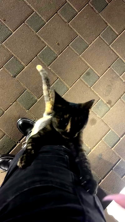 bbyerikss bbyerikss archive video