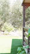 avitalmenahemm Altpins Profile Picture