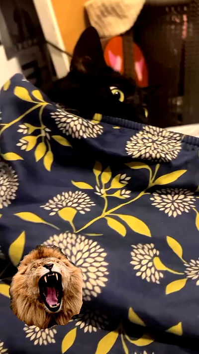 hellokittyangel666 hellokittyangel666 archive video