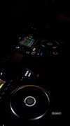 diana_tal_ Altpins Profile Picture