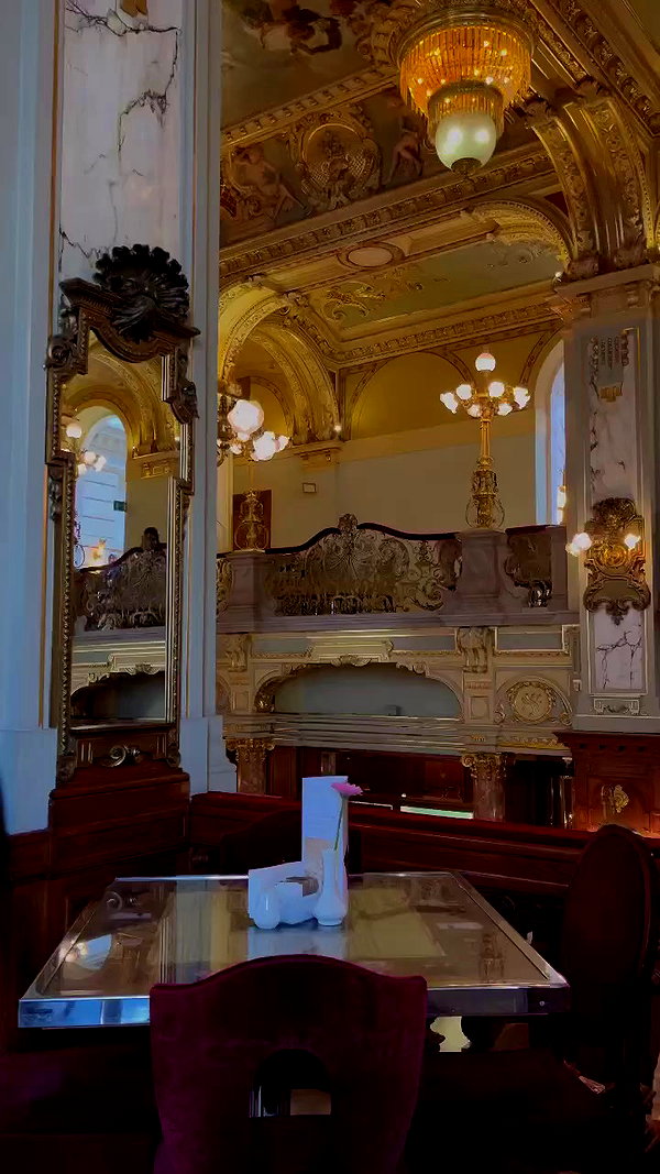 noammalka___ archive video preview