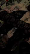 estr3iia Altpins Profile Picture