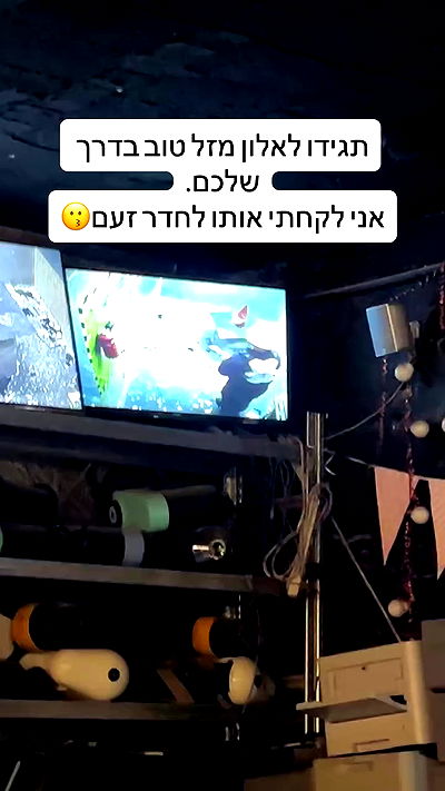 laluzone laluzone archive video