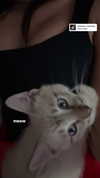 valeriecastellano Altpins Profile Picture