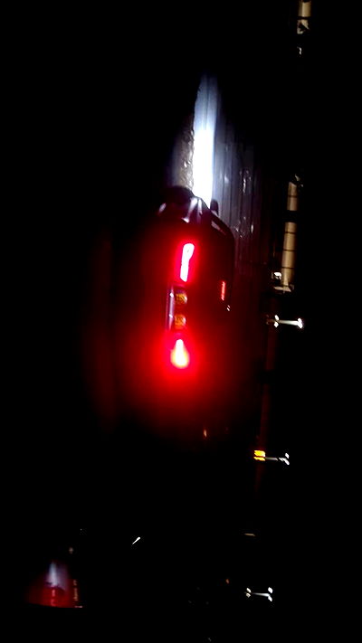 simp_for_cats_ simp_for_cats_ archive video