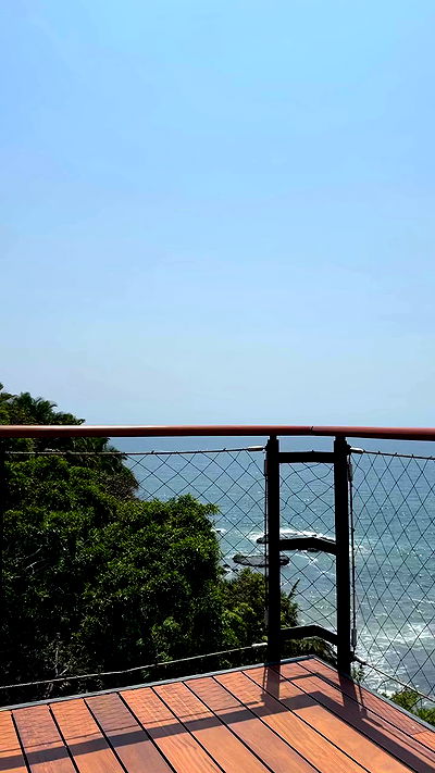 carolinezalog carolinezalog archive video