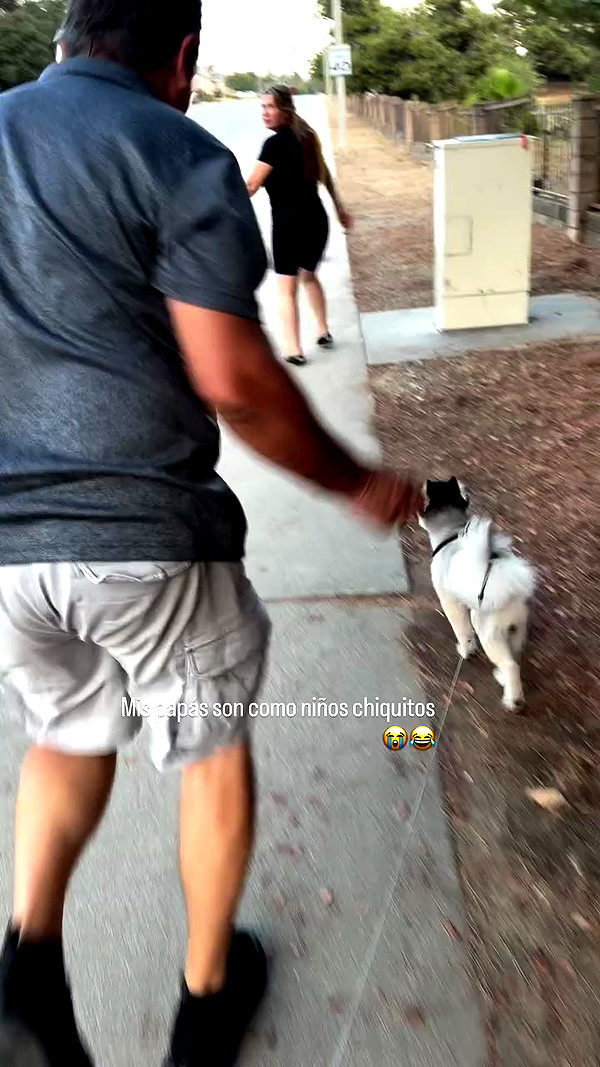 jailyneojeda archive video preview