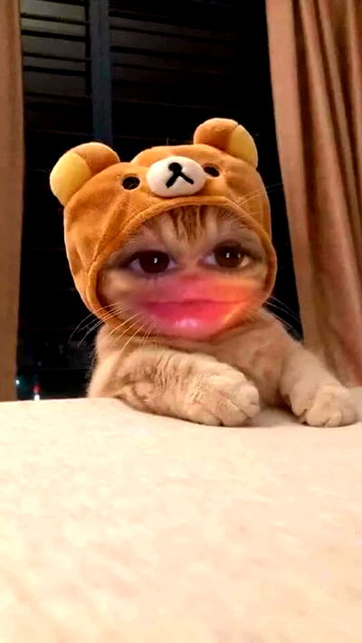 shunli__mei shunli__mei archive video