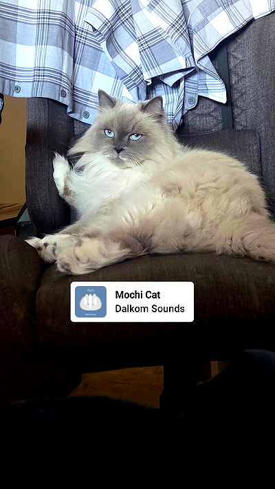 avital_1010.2003 avital_1010.2003 archive video