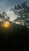 cellow111 Altpins Profile Picture