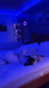 elena_stain Altpins Profile Picture