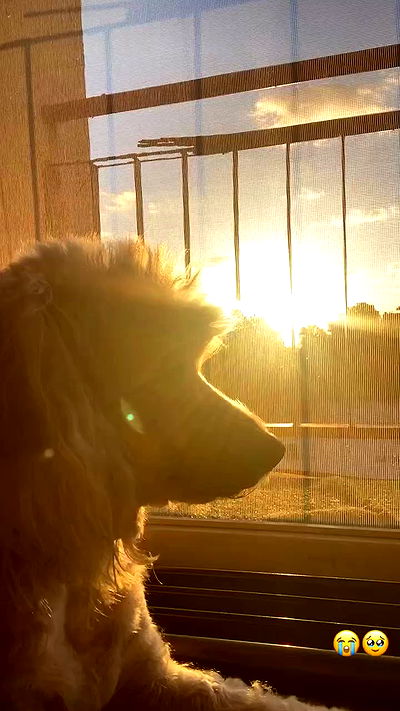 feelbetterinmysweater feelbetterinmysweater archive video