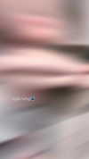 wdmp00_ Altpins Profile Picture
