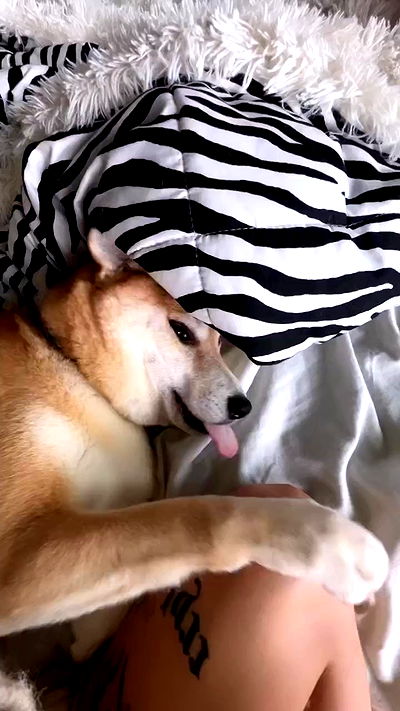 zommmbri zommmbri archive video