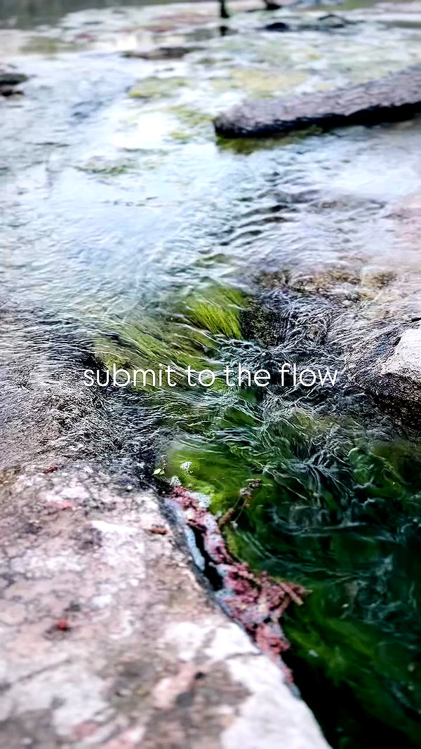 juneeberri archive video preview
