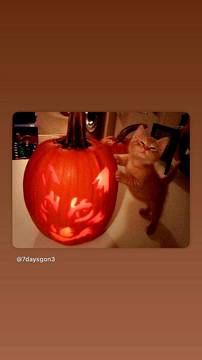 hellokittyangel666 hellokittyangel666 archive video