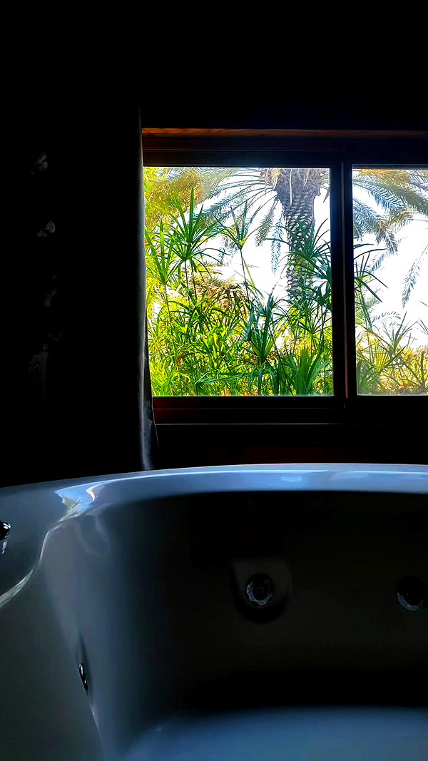nicol.rochlin archive video preview