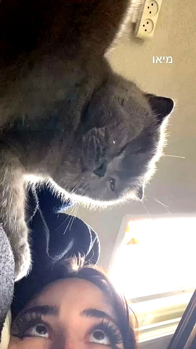 dustheadd dustheadd archive video