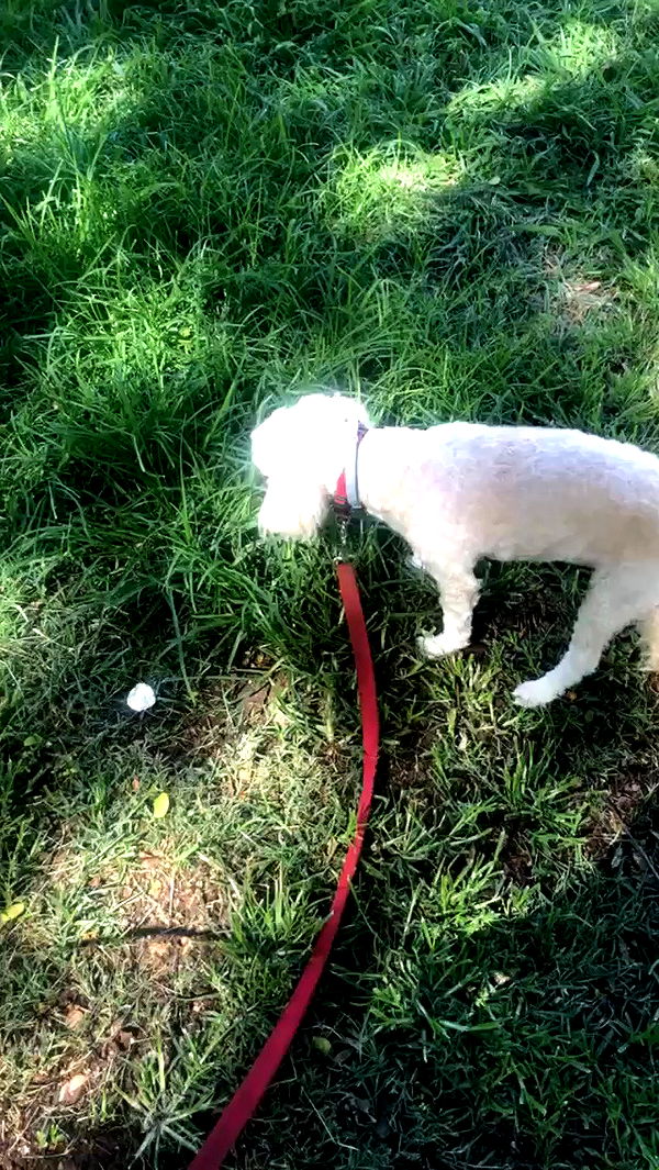 feelbetterinmysweater archive video preview