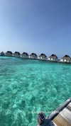 liya_manor_ Altpins Profile Picture