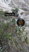 zz.eazoning Altpins Profile Picture