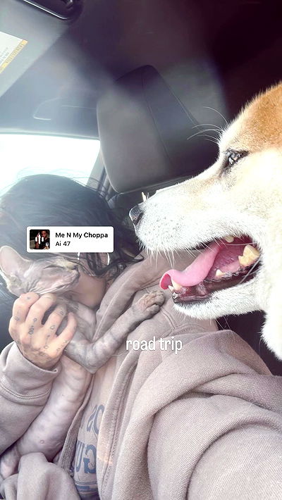 zommmbri zommmbri archive video