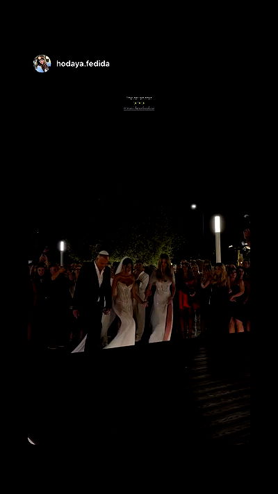 roni.benshushan roni.benshushan archive video