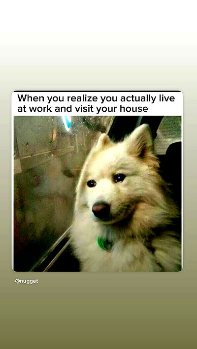 biton__adi biton__adi archive video