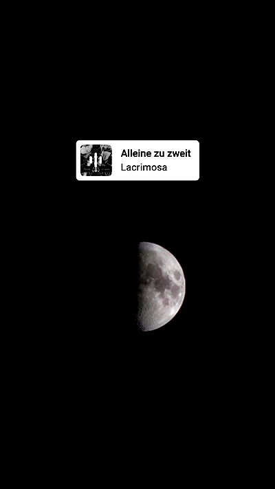 avital_1010.2003 avital_1010.2003 archive video