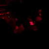 _scarlc_xo Altpins Profile Picture