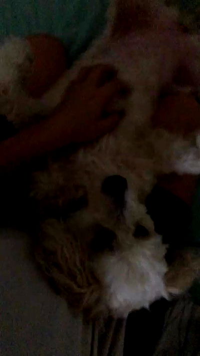 feelbetterinmysweater feelbetterinmysweater archive video