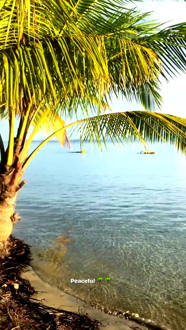 noa_mendel_ archive video preview