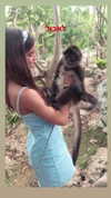 noa_mendel_ Altpins Profile Picture