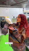 _lil_noa_ Altpins Profile Picture