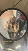 cellow111 Altpins Profile Picture