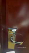 shelly_roberin Altpins Profile Picture