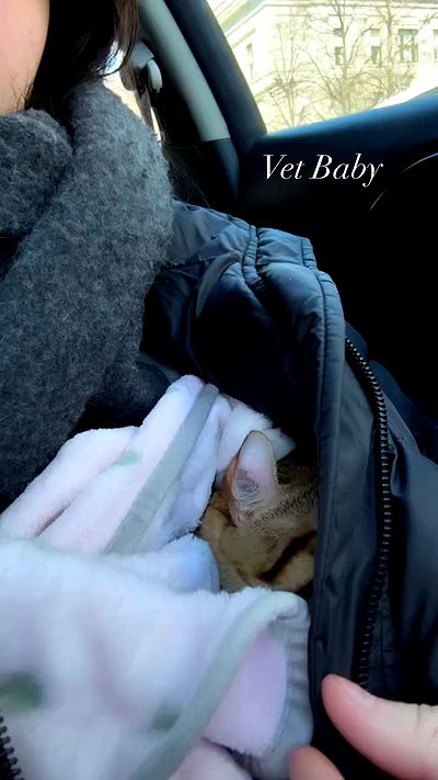 laurinchhhe laurinchhhe archive video