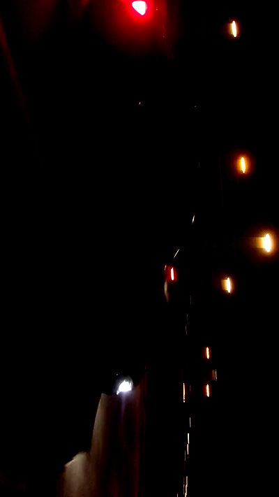 simp_for_cats_ simp_for_cats_ archive video