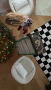 babebellalynnxx Altpins Profile Picture