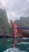shelly_roberin Altpins Profile Picture